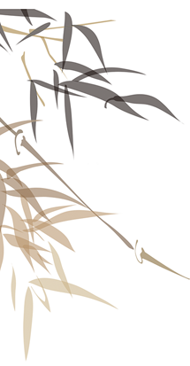 養生(shēng)會(huì)所加盟